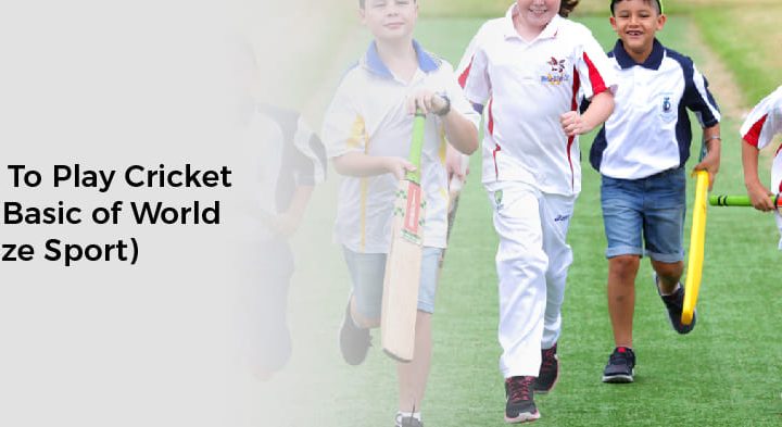 how to play cricket