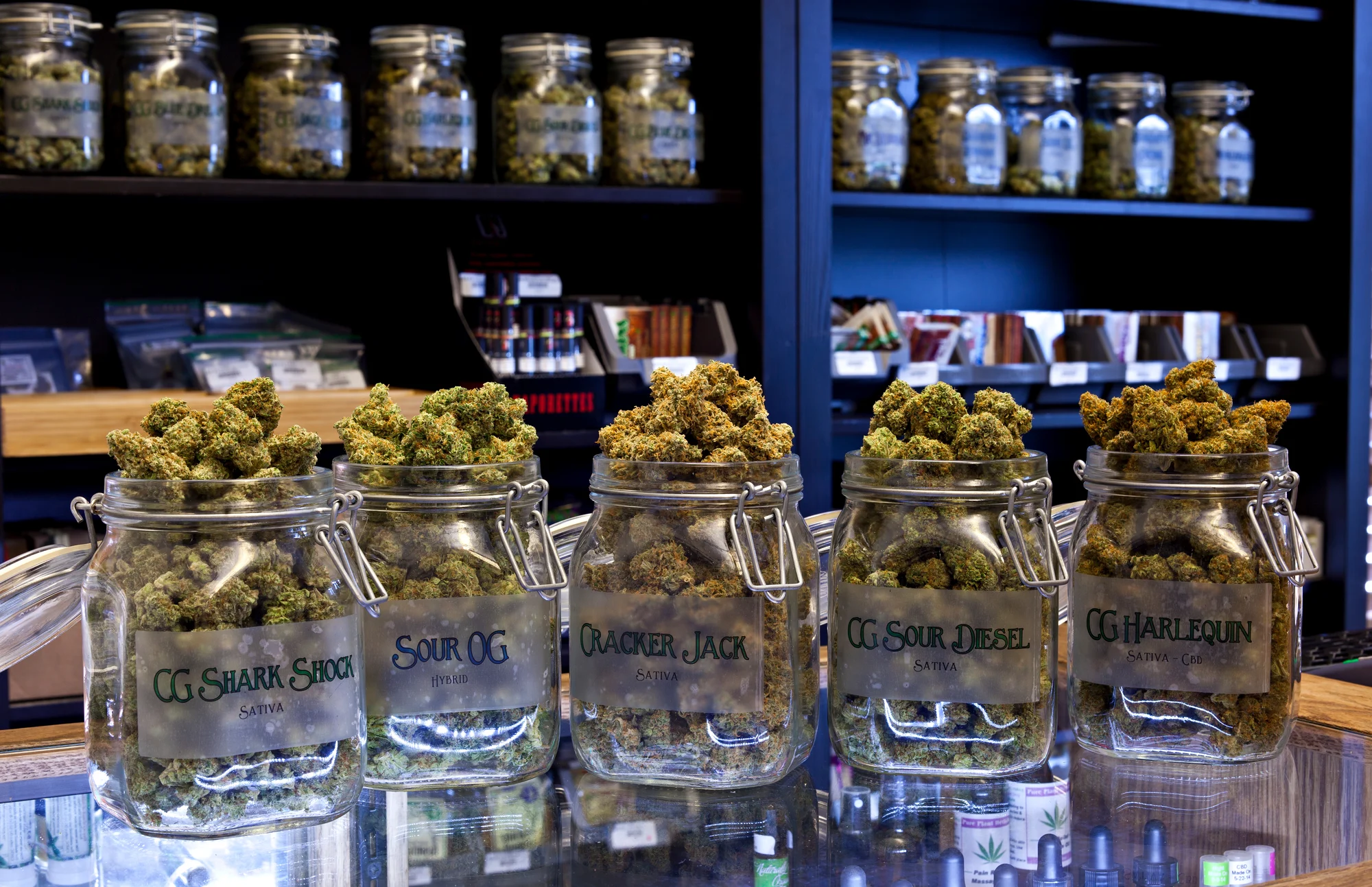 Evolving Cannabis Marketing Trends Shaping Programmatic Advertising in 2026