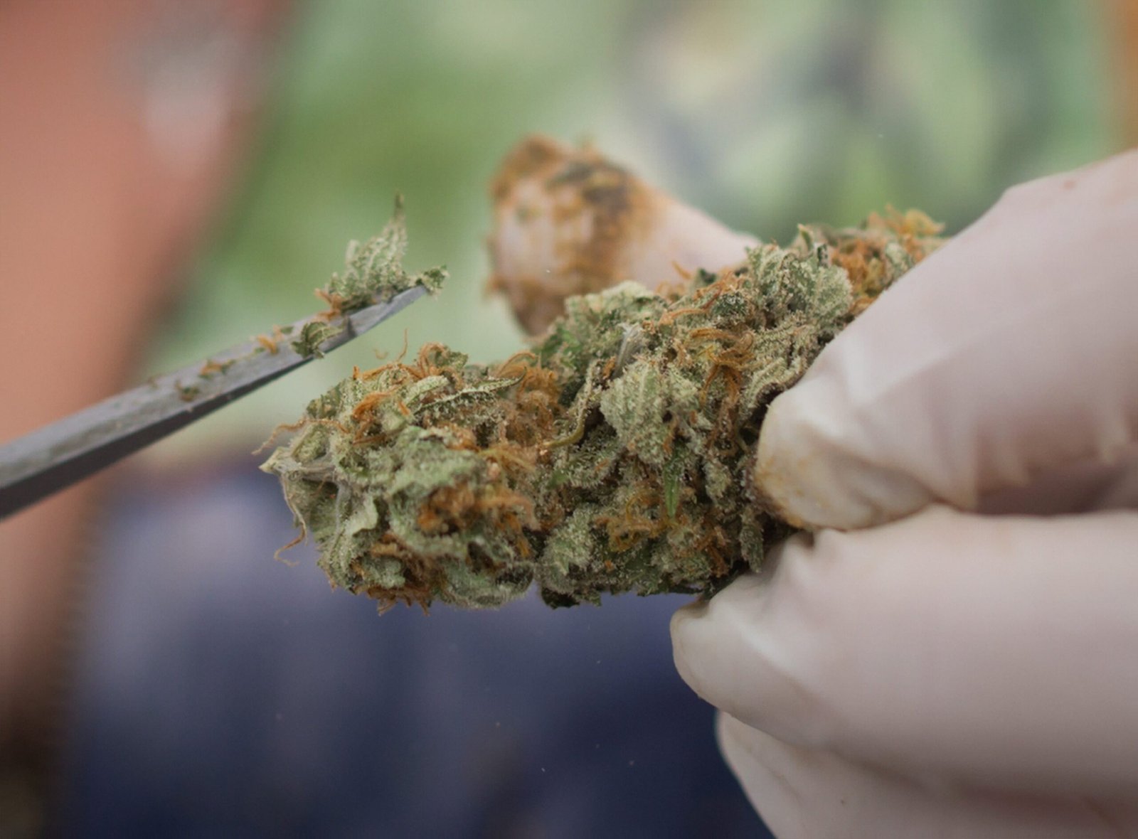 Smarter Cannabis Advertising Strategies for Modern Brands